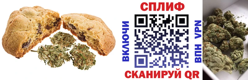 Cannafood конопля  ОМГ ОМГ вход  нарко площадка как зайти  Шилка 