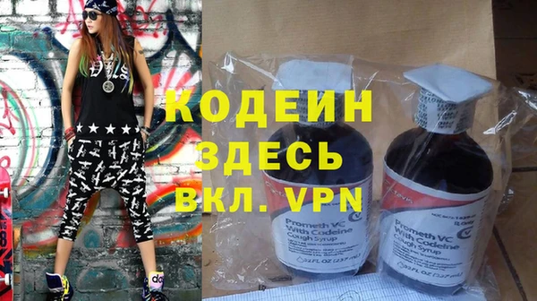 прущие грибы Балабаново