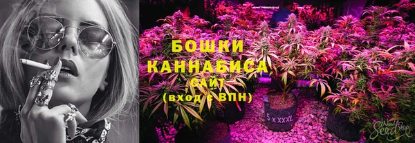 прущие грибы Балабаново