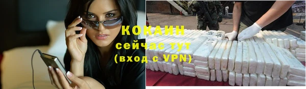 прущие грибы Балабаново