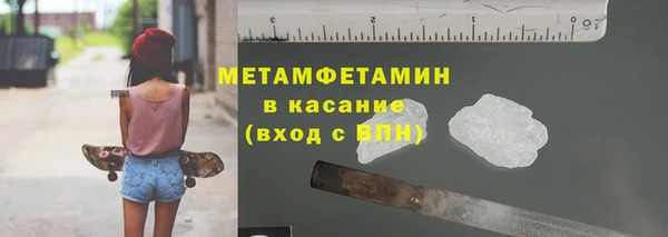 прущие грибы Балабаново