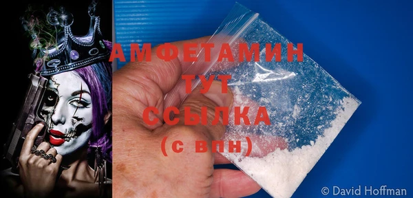 прущие грибы Балабаново