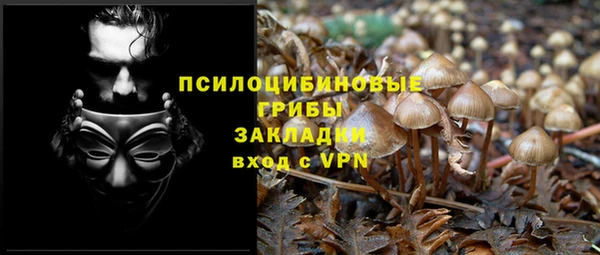 прущие грибы Балабаново