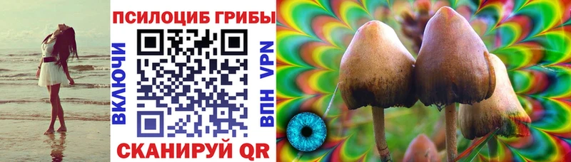 Псилоцибиновые грибы ЛСД Шилка
