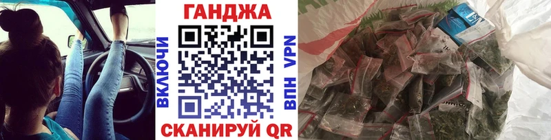 Конопля сатива  где продают наркотики  Шилка 
